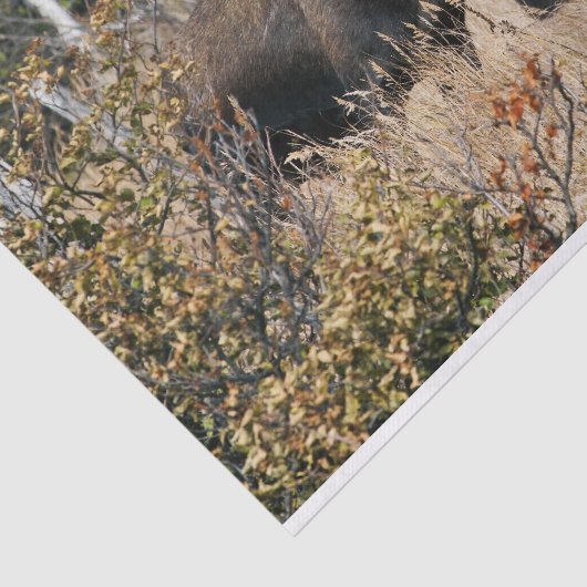 Bullのアメリカヘラジカを牧草を食べること 薄葉紙 (詳細)