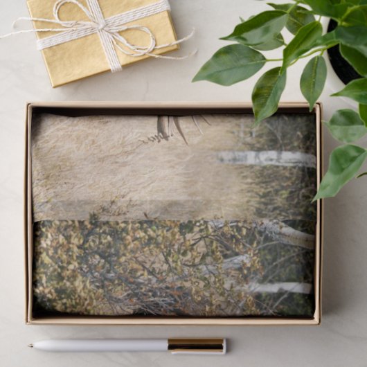 Bullのアメリカヘラジカを牧草を食べること 薄葉紙 (ギフト)