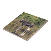 Bullのアメリカヘラジカ タイル (側面)