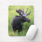 Bullのアメリカヘラジカ マウスパッド (マウス)