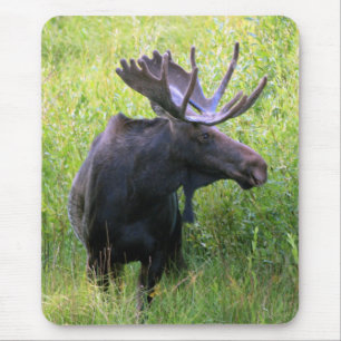 Bullのアメリカヘラジカ マウスパッド