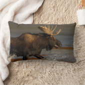 Bullのアメリカヘラジカ ランバークッション (ブランケット)