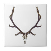 Bullのオオシカのスカル色 タイル (正面)