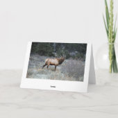 Bullのオオシカの休息 カード (裏面)