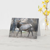 Bullのオオシカの休息 カード (黄色い花)