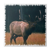 Bullのオオシカの写真 タイル (正面)