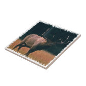 Bullのオオシカの写真 タイル (側面)