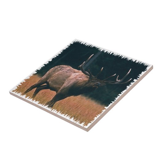 Bullのオオシカの写真 タイル (側面)