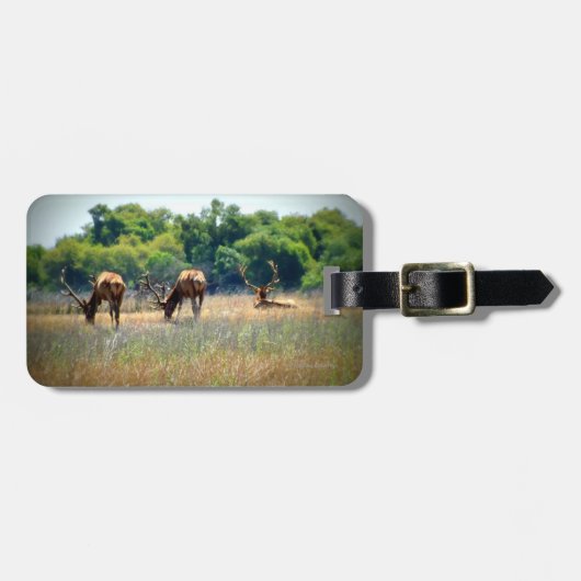 Bullのオオシカの荷物のラベル ラゲッジタグ (正面横)