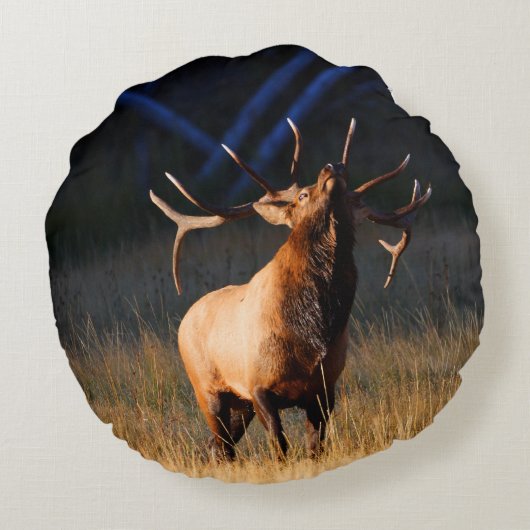 Bullのオオシカはとの帰ります ラウンドクッション (裏面)