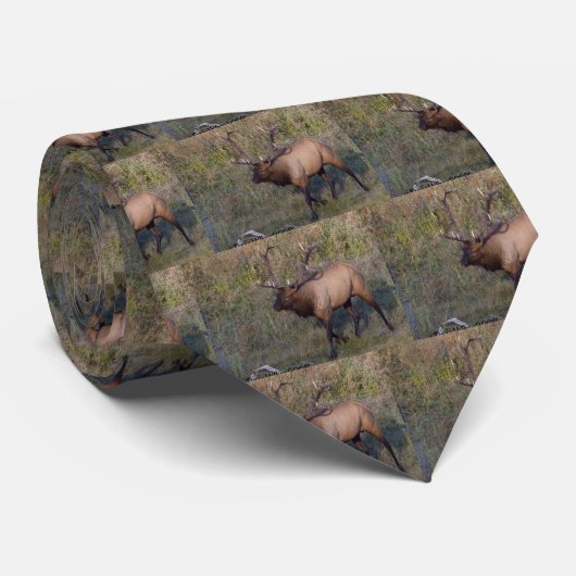 Bullのオオシカ1 ネクタイ (ロール)