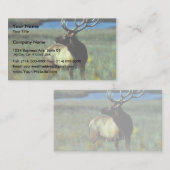 Bullのオオシカ 名刺 (正面/裏面)