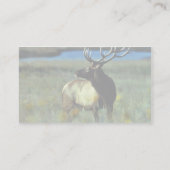 Bullのオオシカ 名刺 (裏面)