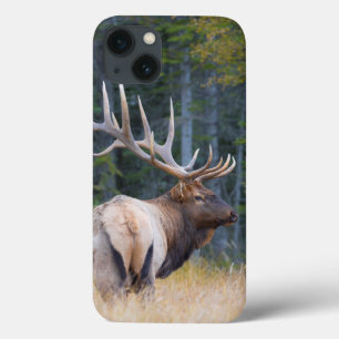 Bullのロッキー山脈のオオシカ iPhone 13ケース