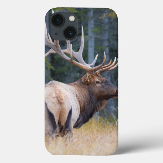 Bullのロッキー山脈のオオシカ Case-Mate iPhoneケース (裏面)