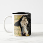 Bullの一見 ツートーンマグカップ (左)