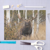 Bullの印象的なアメリカヘラジカ 薄葉紙 (クラフト)