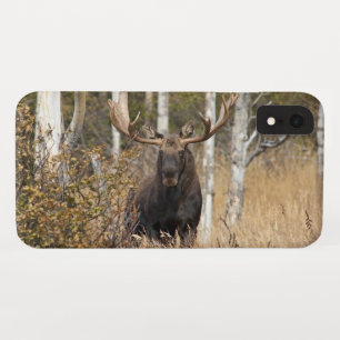 Bullの印象的なアメリカヘラジカ iPhone XRケース