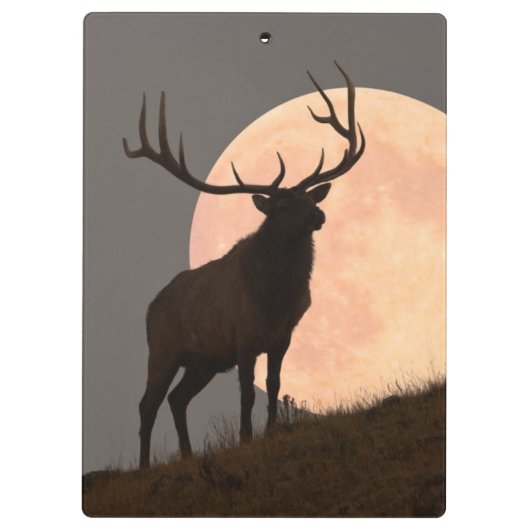 Bullの威厳のあるなオオシカおよび満月の上昇 クリップボード (裏面)