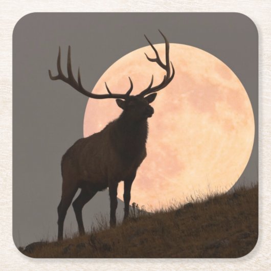 Bullの威厳のあるなオオシカおよび満月の上昇 スクエアペーパーコースター (正面)
