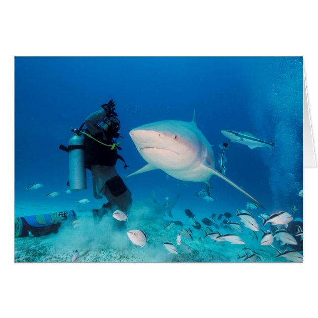 Bullを食べ物を与えること (正面横)