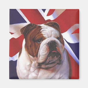 Bullイギリスの犬 マグネット