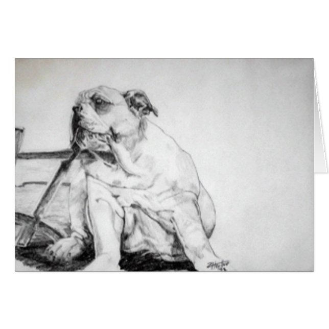 Bull犬の子犬 (正面横)