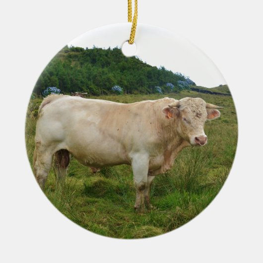 Bull セラミックオーナメント (正面)