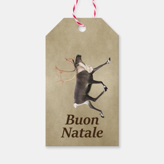 Bull Caribou - Buon Natale ギフトタグ (正面)