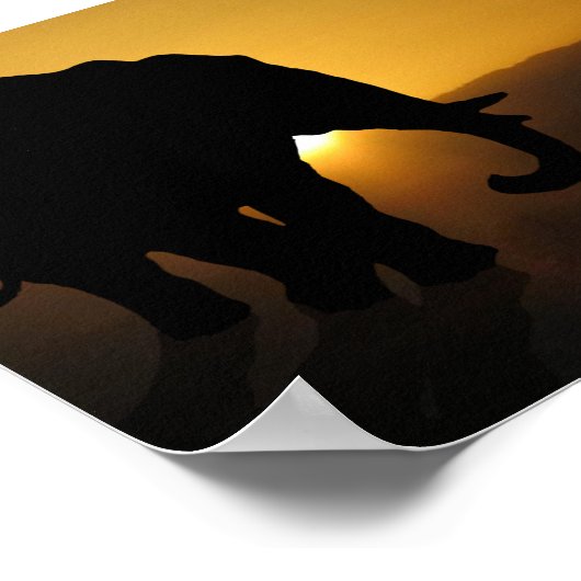 Bull elephant ポスター (角)