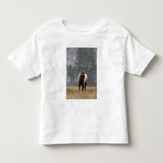 Bull Elk bugling、イエローストーンNP、ワイオミング2 トドラーTシャツ (正面)