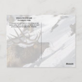 Bull Elk Grazing, Winter, Yellowstone NP ポストカード (裏面)