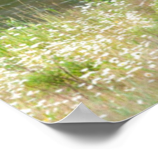 Bull Elk in the National Bison Range, Montana ポスター (角)