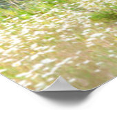 Bull Elk in the National Bison Range, Montana 2 ポスター (角)