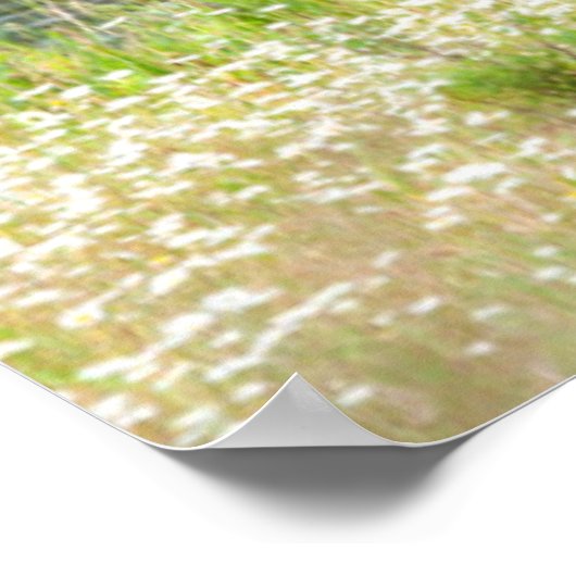 Bull Elk in the National Bison Range, Montana 2 ポスター (角)