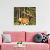 Bull Elk in Velvet，カナダ キャンバスプリント (インサイチュ (リビング))