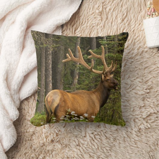 Bull Elk in Velvet，カナダ クッション (ブランケット)