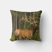 Bull Elk in Velvet，カナダ クッション (正面)