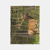 Bull Elk in Velvet,カナダ フリースブランケット (正面)