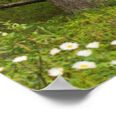 Bull Elk in Velvet，カナダ ポスター (角)