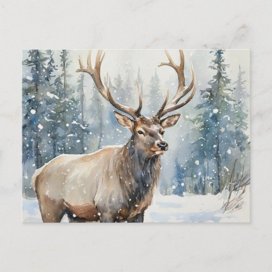 Bull Elk in Winter Snow Wildlife ポストカード (正面)