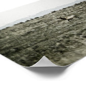 Bull Elk P2800 Print ポスター (角)