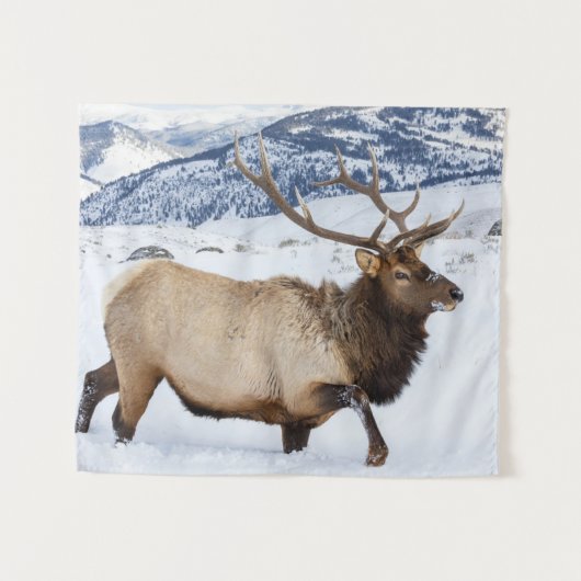 Bull Elk | Wyoming タペストリー (正面(横))