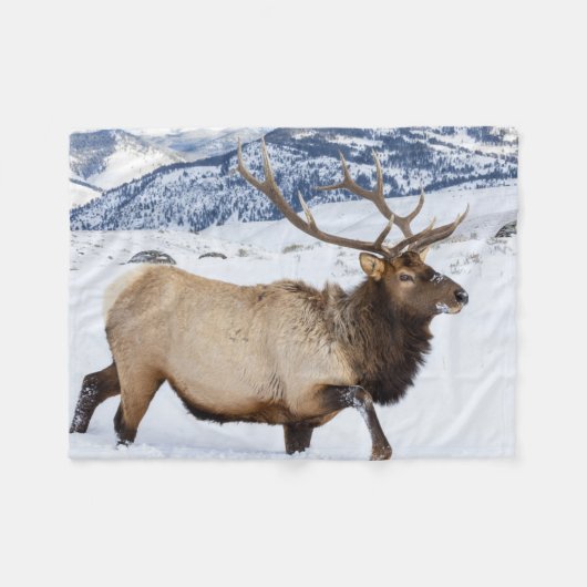 Bull Elk | Wyoming フリースブランケット (正面(横))