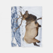 Bull Elk | Wyoming フリースブランケット (正面)