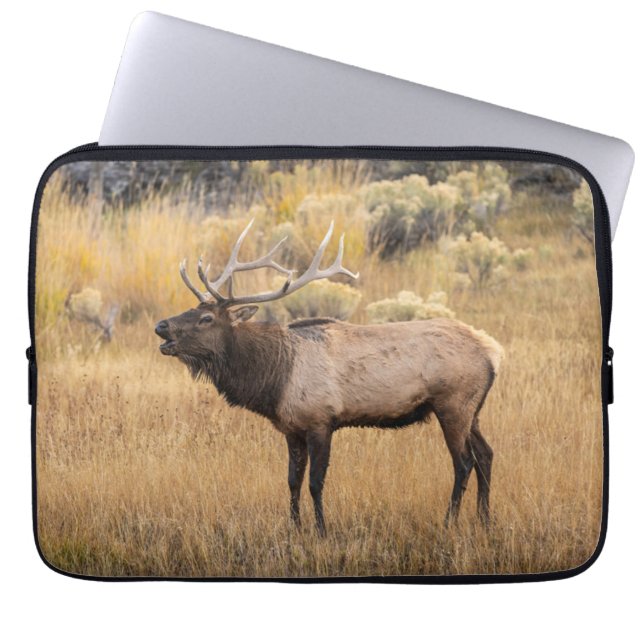 Bull Elk | Yellowstone National Park ラップトップスリーブ (正面)