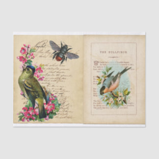 Bull Finch Ephemera Book Pages with Bee & Birds 薄葉紙