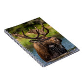 Bull Moose | グレイシャー国立公園 モンタナ州 ノートブック (右側)