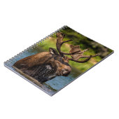 Bull Moose | グレイシャー国立公園 モンタナ州 ノートブック (左側)