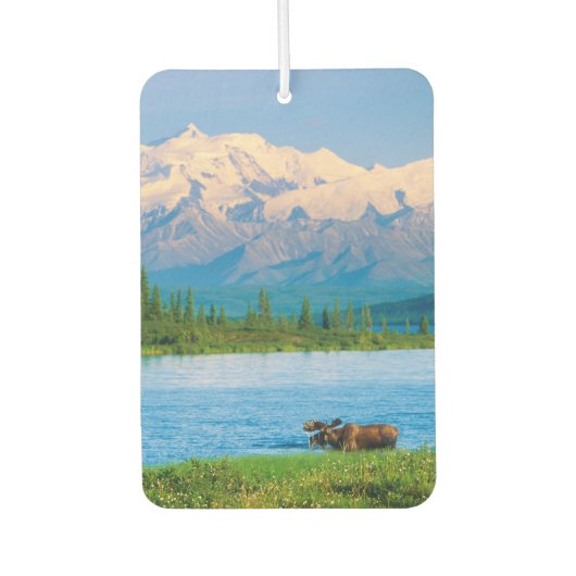 Bull moose in Wonder Lake カーエアーフレッシュナー (正面)